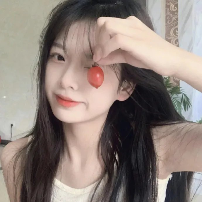 我私人的爱达荷