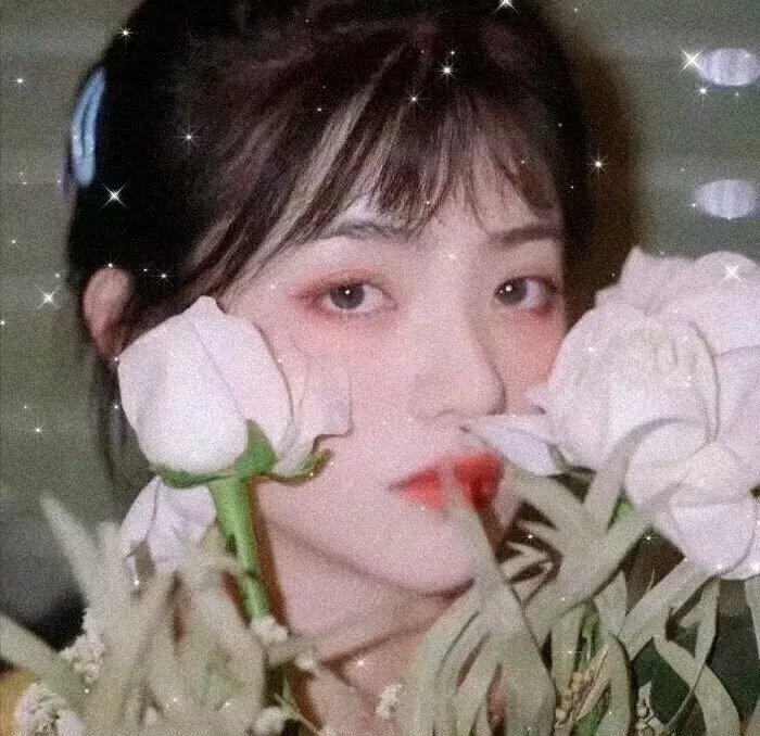 粉色樱与大眠王
